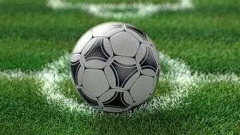 水晶宫持续选拔新帅，霍奇森留任期望依旧