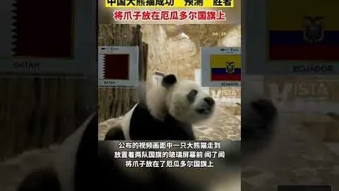 米兰体育娱乐 100550 1